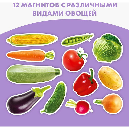 Магнитные истории Овощи арт.SG9769912