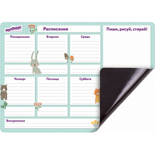 Планинг на холодильник магнитный Юнландия Расписание (42х30см с маркером и салфеткой) арт.237851 Китай