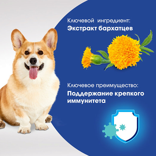 Лакомство для собак Perfect Fit с говядиной и экстрактом бархатцев 90г ООО Марс Россия Perfect Fit