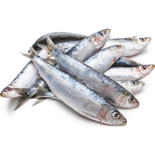 Салака мороженая Латвия