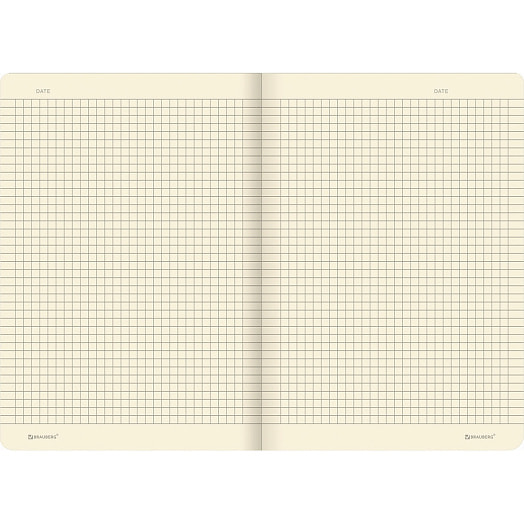 Тетрадь BRAUBERG A5 (147х210мм, 40л, клетка) арт.403776 Китай