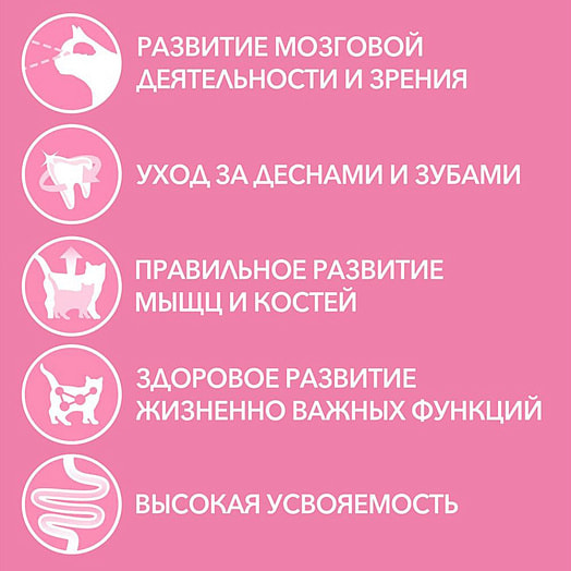 Корм Purina ONE 750г курица, злаки для котят сухой Purina Россия