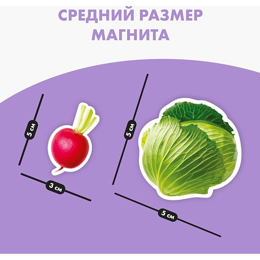 Магнитные истории Овощи арт.SG9769912