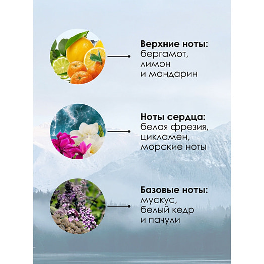 Туалетная вода SILVER 100мл 282г для мужчин Evaflor Франция Whisky