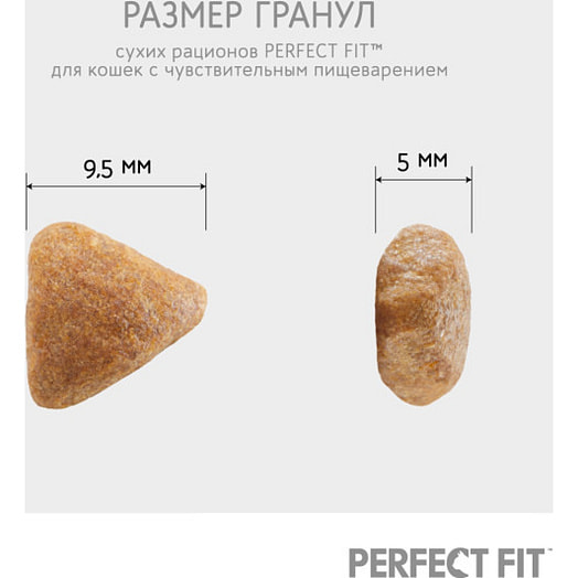 Корм сух.PERFECT FIT 650г с лососем Марс Россия PERFECT FIT