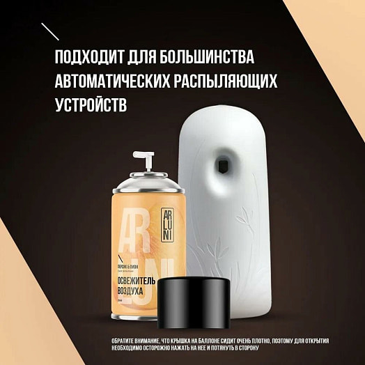Освежитель воздуха Arluni персик, пион 250мл (сменный баллон) Unilever Россия Arluni