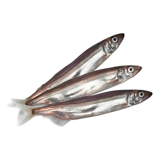 Мойва атлантическая с/м 25+ Исландия