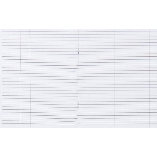 Дневник читательский Пифагор А5,40 листов арт.113447 Россия