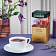 Чай Greenfield Spring Melody 37.5г черный с фруктовым ароматом (25пак*1,5г) Орими Россия