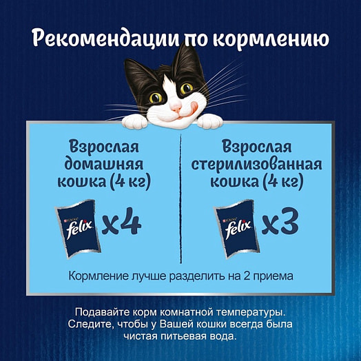 Корм Felix 75г пауч кусочки в желе индейка ООО Нестле Россия Purina