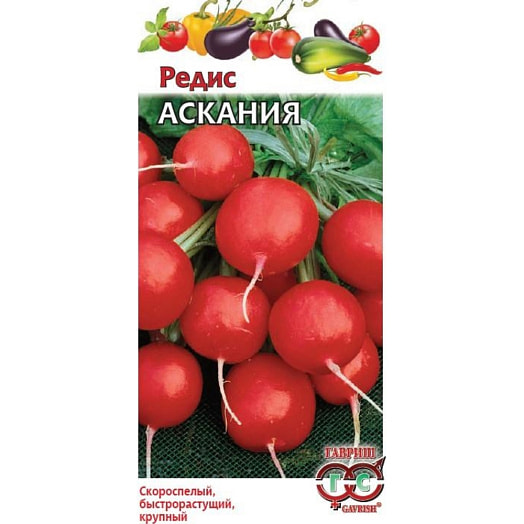 Редис Аскания 2г Агрофирма Гавриш Россия Гавриш