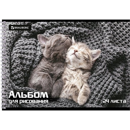 Альбом для рисования BRAUBERG Питомцы (А4, 24листа, гребень, 195х285мм) арт.106696 Россия