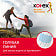 Тампоны женские Kotex Active Super 8шт Чехия
