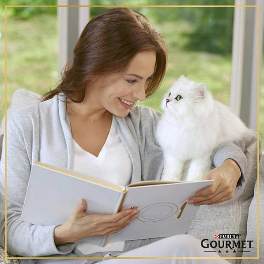 Консерва для кошек Гурмэ Перл 75г Фольгированный пакет ягненок в соусе ООО Нестле Россия Gourmet