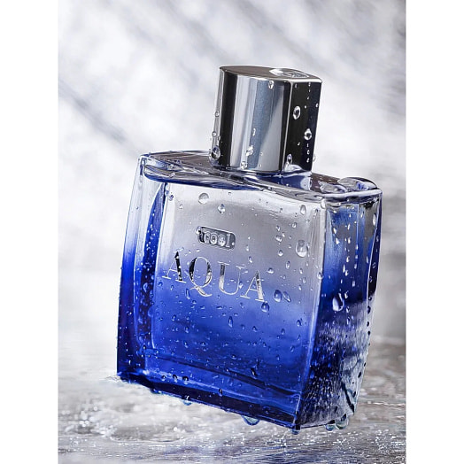 Туалетная вода для мужчин Cool Aqua 100мл ЗАО Дилис Косметик Беларусь ДИЛИС