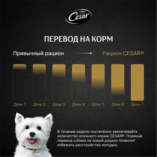 Корм Cesar Говядина и кролик со шпинатом для взр собак 85г ООО Марс Россия Cesar