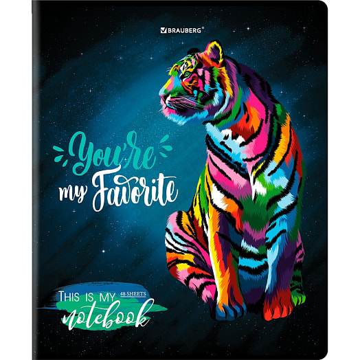 Тетрадь BRAUBERG (А5, 48л, клетка, матовая ламинация микс) арт.404374 Россия