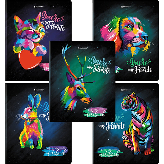 Тетрадь BRAUBERG (А5, 48л, клетка, матовая ламинация микс) арт.404374 Россия