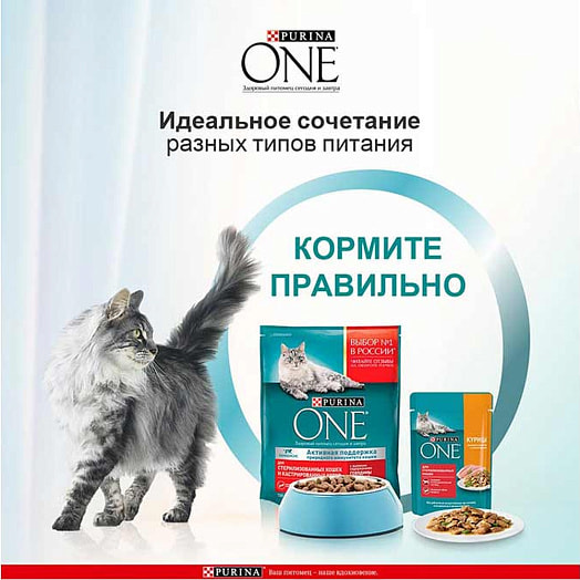 Корм ONE PURINA 75г курица,зеленая фасоль ООО Нестле Россия Россия Purina