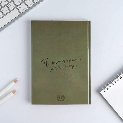 Набор Я могу. Делаю (ежедневник 80л, ручка) арт.5197069 Россия