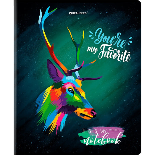 Тетрадь BRAUBERG (А5, 48л, клетка, матовая ламинация микс) арт.404374 Россия