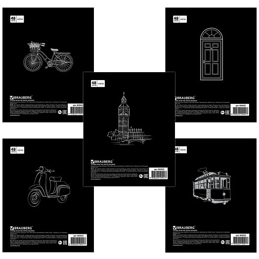 Тетрадь Brauberg Акцент А5, 48 листов, клетка арт.403032 Россия