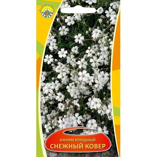 Семена Качим изящный Снежный ковер 0,2гр. SGARAVATTI Италия