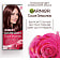 Крем-краска стойкая для волос 149г тон: 5.51 LOreal Россия Garnier Color Sensation