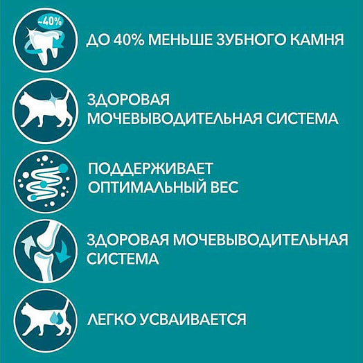 Корм ONE PURINA 75г пауч говядина ООО Нестле Россия Россия Purina