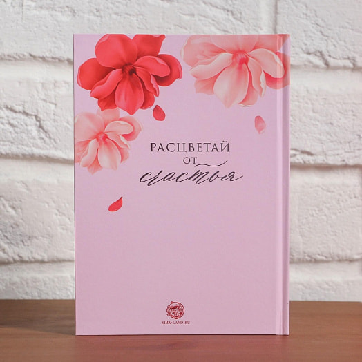 Набор Сияй ярче всех! (фартук,кулинарная книга) арт.5195639 Россия NAZAMOK