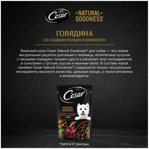 Корм Cesar Говядина со сл перцем и шпинатом для взр собак 80г ООО Марс Россия Cesar