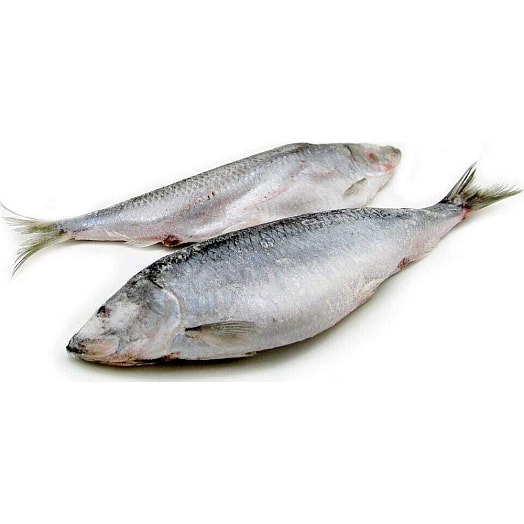 Сельдь н/р с/г 27+ зам Россия