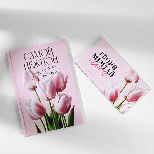 Подарочный набор Самой нежной (ежедн А5 80л, планинг 50л) арт.9878475 Россия