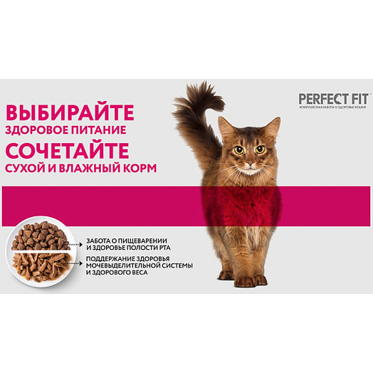 Корм сух.PERFECT FIT 650г с лососем Марс Россия PERFECT FIT