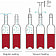 Набор для хранения вина насос + 2 пробки арт.106162 Vacu Vin Нидерланды Vacu Vin