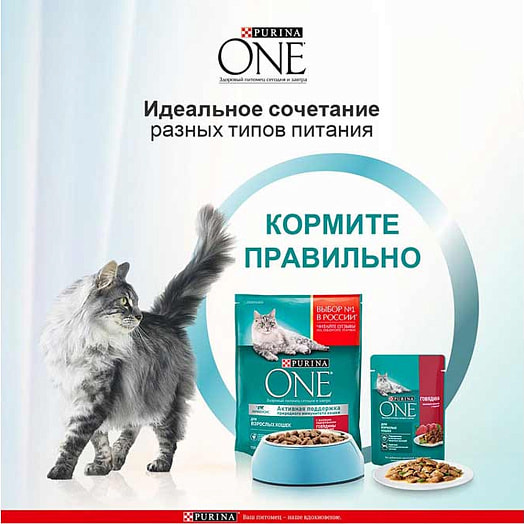 Корм ONE PURINA 75г пауч говядина ООО Нестле Россия Россия Purina