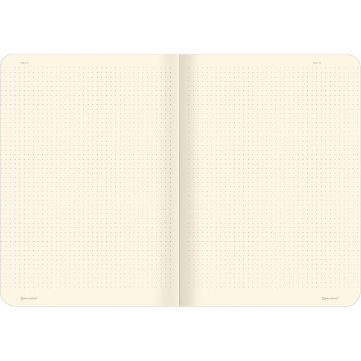 Тетрадь BRAUBERG А5 (147х210мм, 40л) арт.403800 Китай