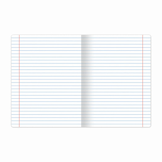 Тетрадь Brauberg В сети А5, 48 листов, линия арт.401898 Россия