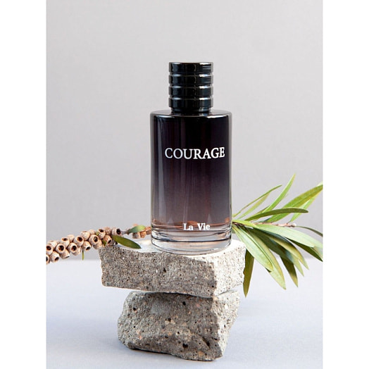 Парфюмированная вода для мужчин 100мл карт/уп. Courage мужская Дилис Беларусь Дилис