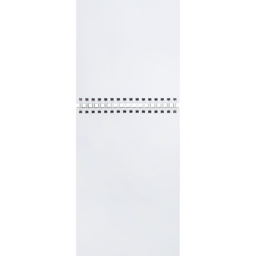 Скетчбук Brauberg Art 140*201мм 60л на гребне арт.115062 Россия